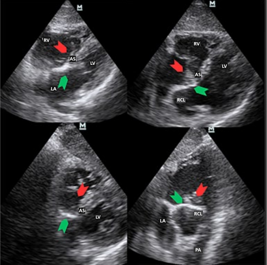 Fig. 7
