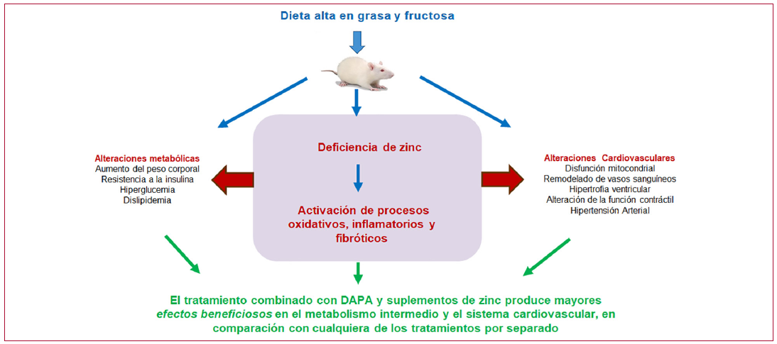 Figura 1