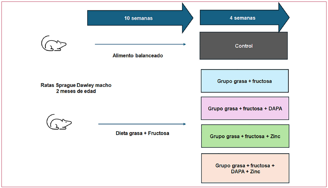 Figura 2