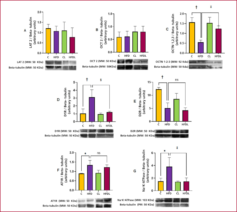 a437-en-gf2.jpg
