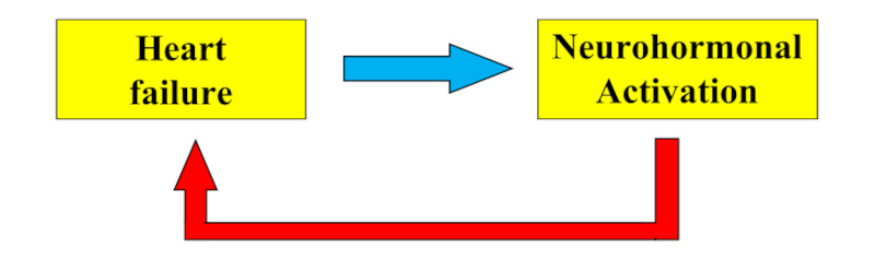 a487-en-gf1.jpg