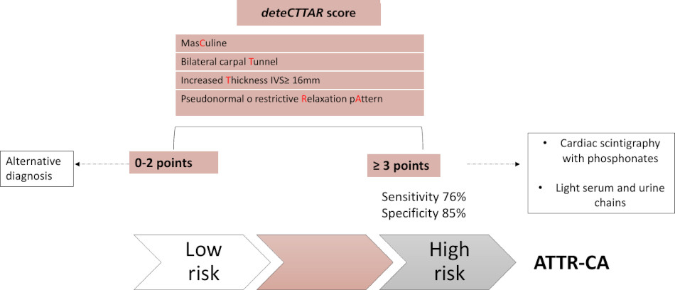 rac - Transthyretin Cardiac Amyloidosis. Development of a Prediction ...
