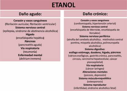 Descripción: C:\Users\Guido\Downloads\Hamala 1 (1).jpg