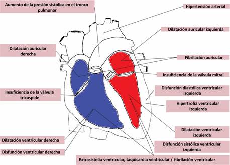 Descripción: C:\Users\Guido\Downloads\Hamala3.jpg