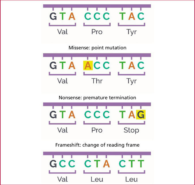 Genetic Code Rac rac - Genetic and Clinical Characteristics of Patients with Congenital ...