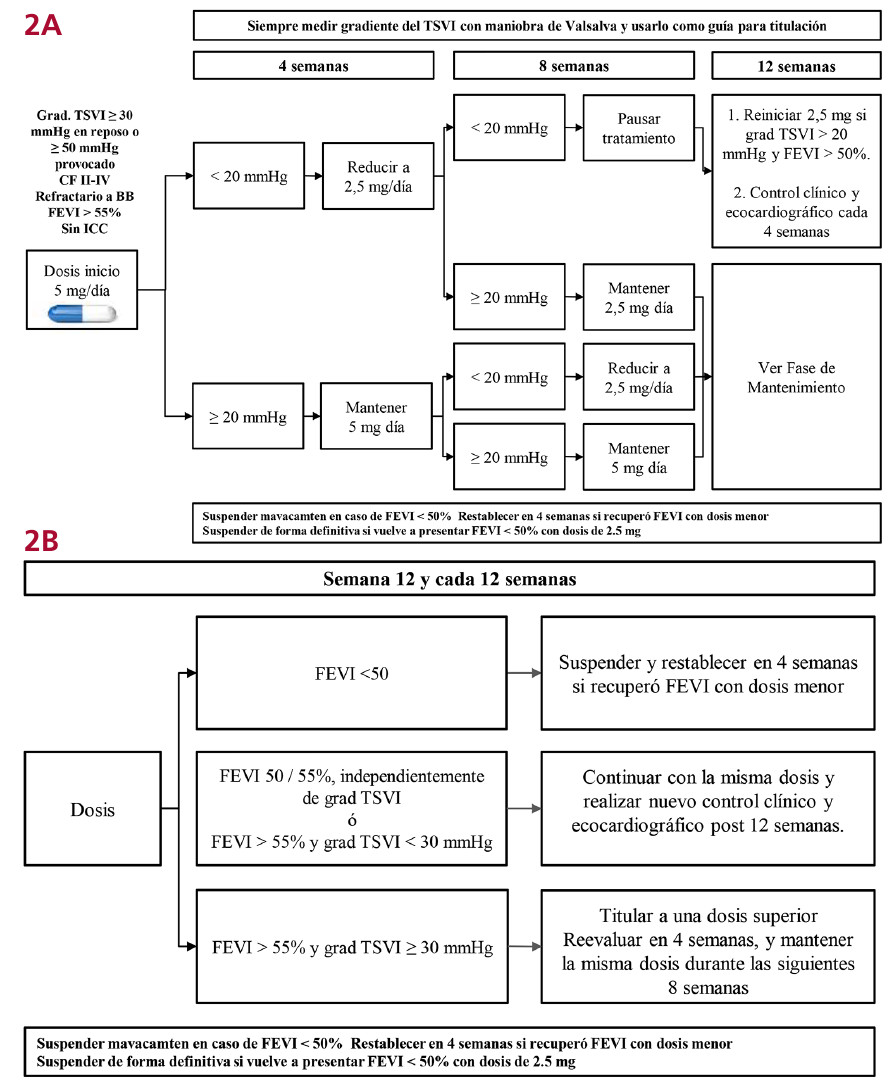 decoto-es-gf2.jpg