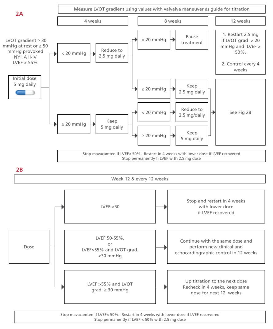 1850-3748-rac-93-05-372-gf2.gif